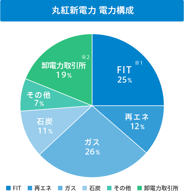 丸紅新電力 電力構成